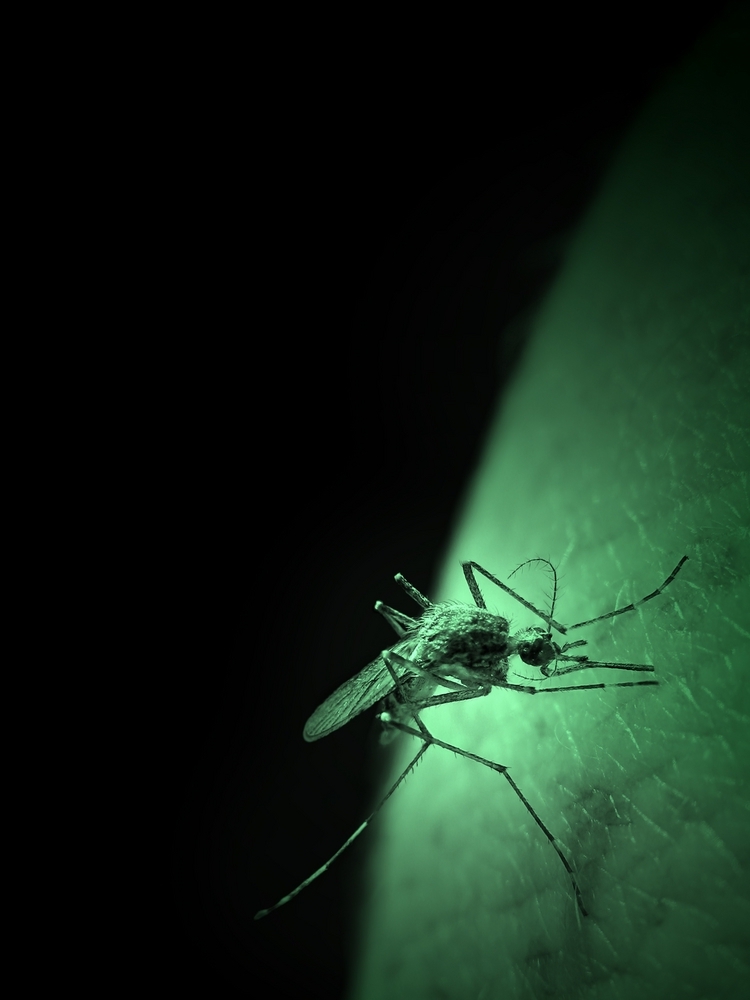 Pincers and Mosquitos