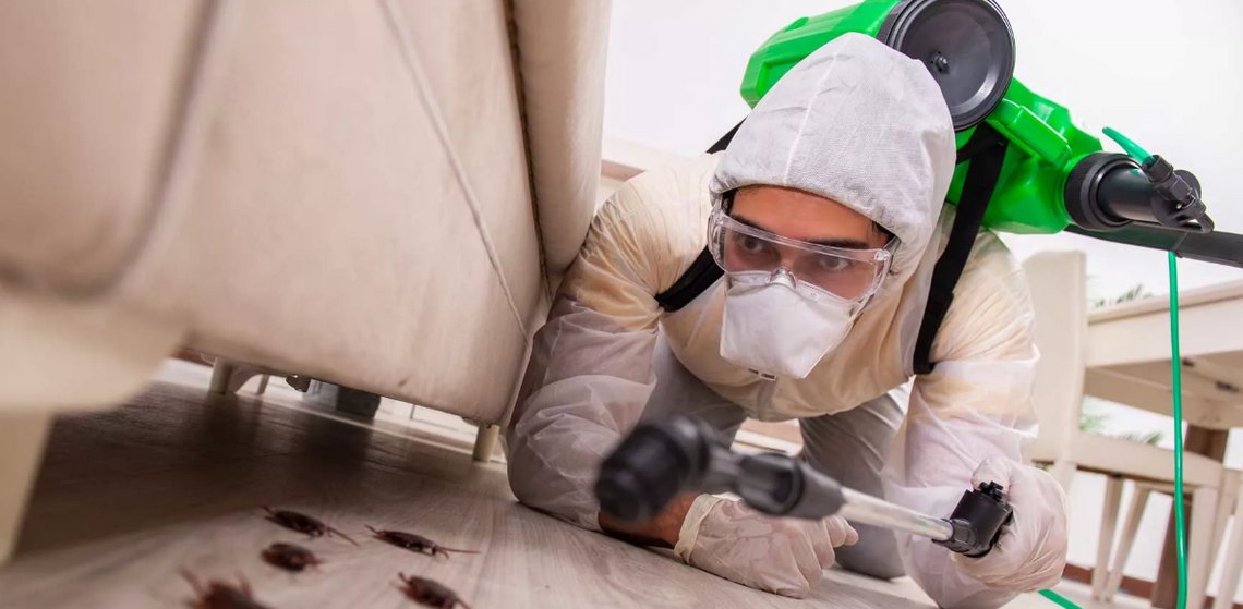 How Often Should You Do Pest Control at Home