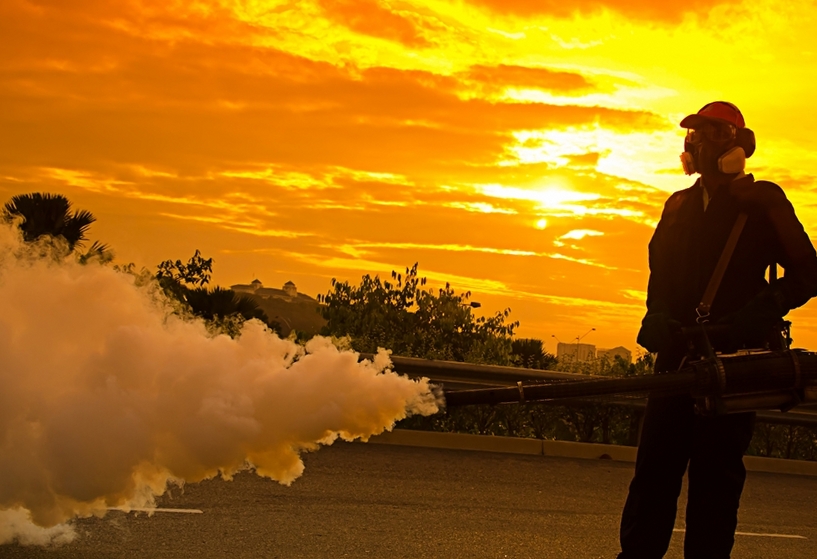 Zero Pest - Pest Control in Dubai Zero Pest-Pest Control-in-Dubai